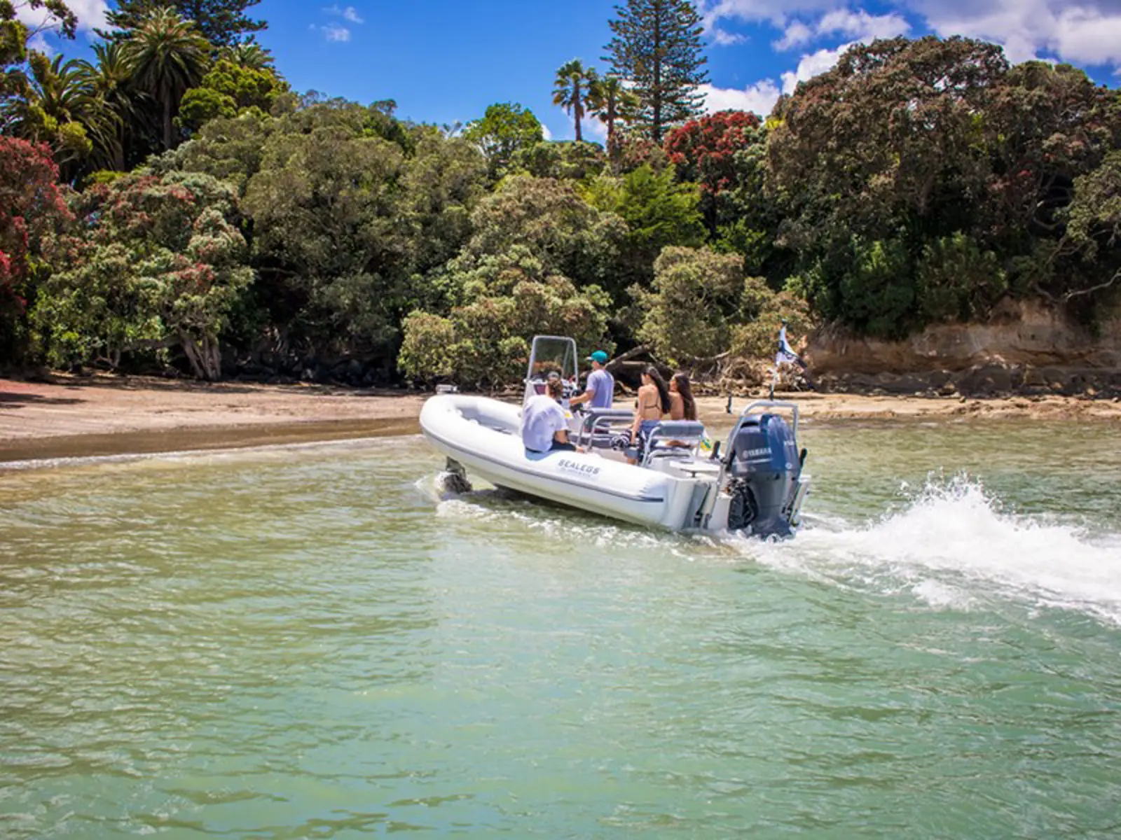 Sealegs 7.1m Sport RIB — photo 3 of 9