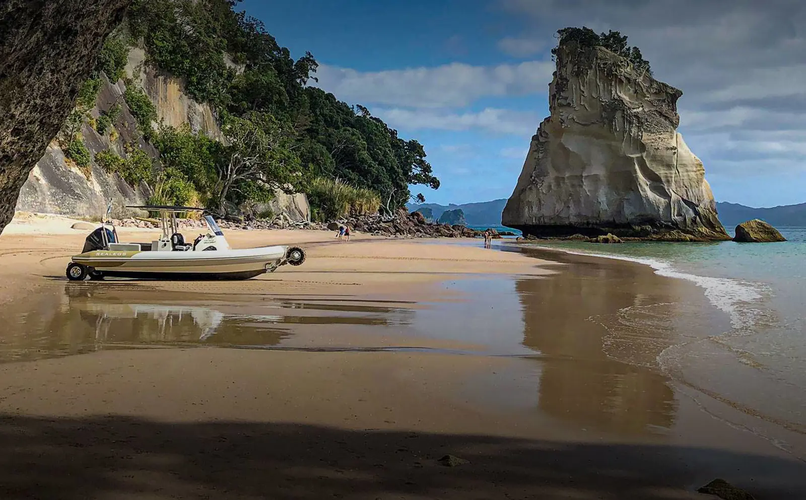 Sealegs 7.5m Amphibious RIB — photo 2 of 10