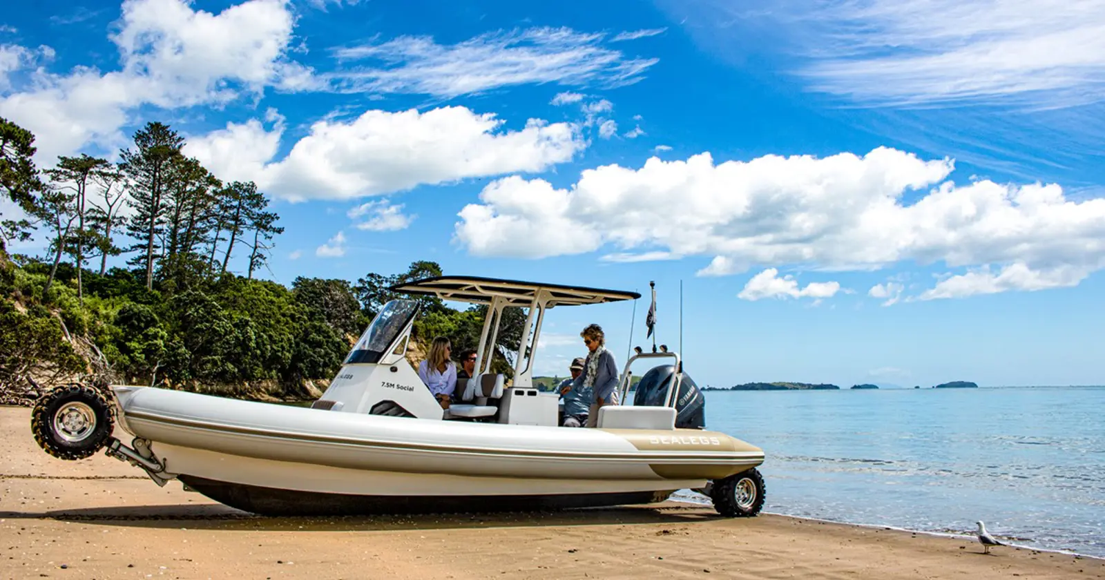 Sealegs 7.5m Amphibious RIB — photo 3 of 10