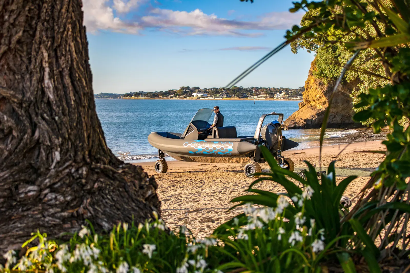 Sealegs 7.5m Electric RIB — photo 3 of 9
