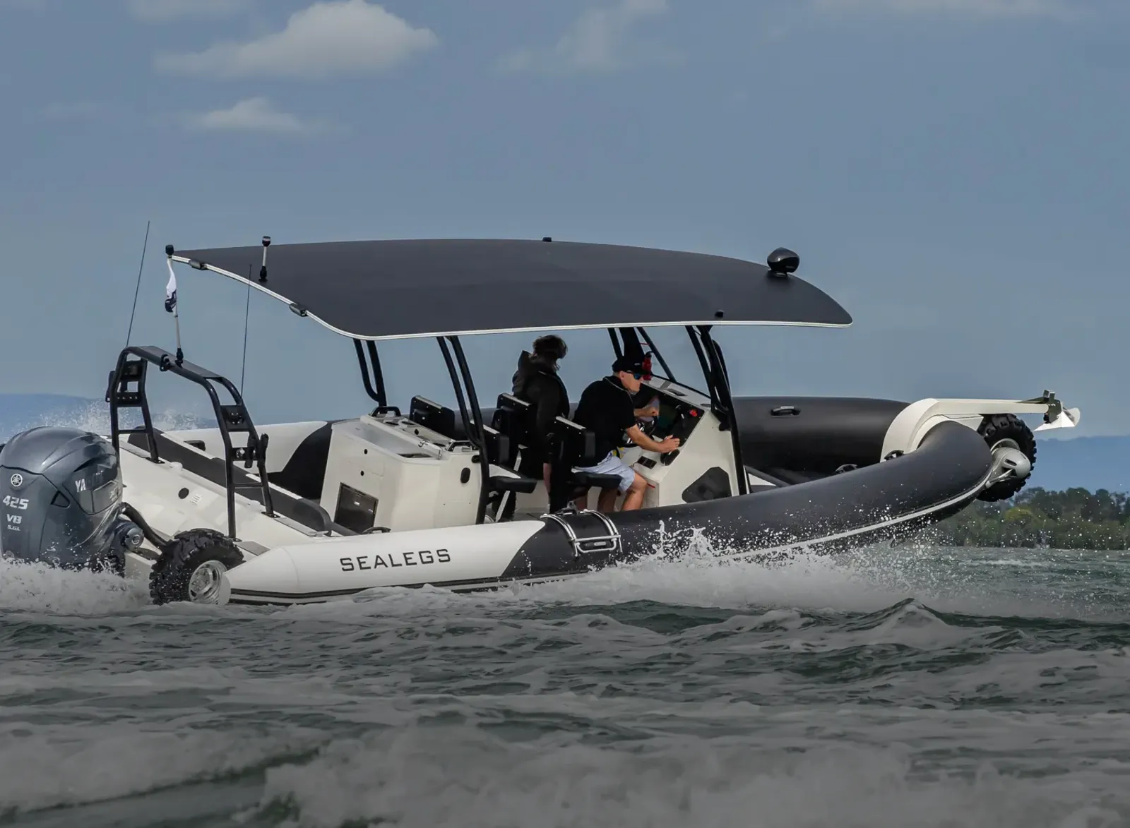 Sealegs 9m Hydrasol RIB — photo 2 of 11